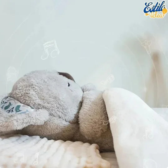 Dr. Koala – Noches Mejores, Días Más Felices